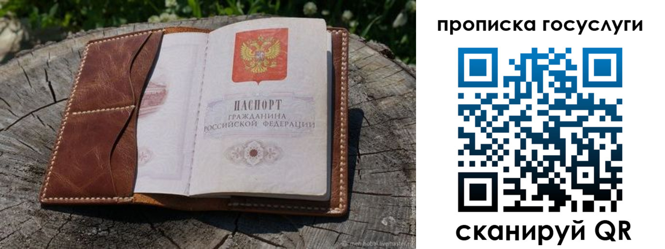 прописка для школы в Знаменске